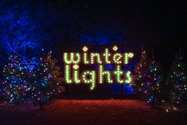 Winter Lights: A Visual Meditation in Light and Color